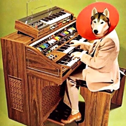 Stream EPISODE 340 By Chances With Wolves Listen Online For Free On 