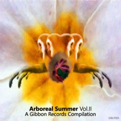 Gibbon Arboreal Summer: Drew Miller - The Voicemail (Original Mix)