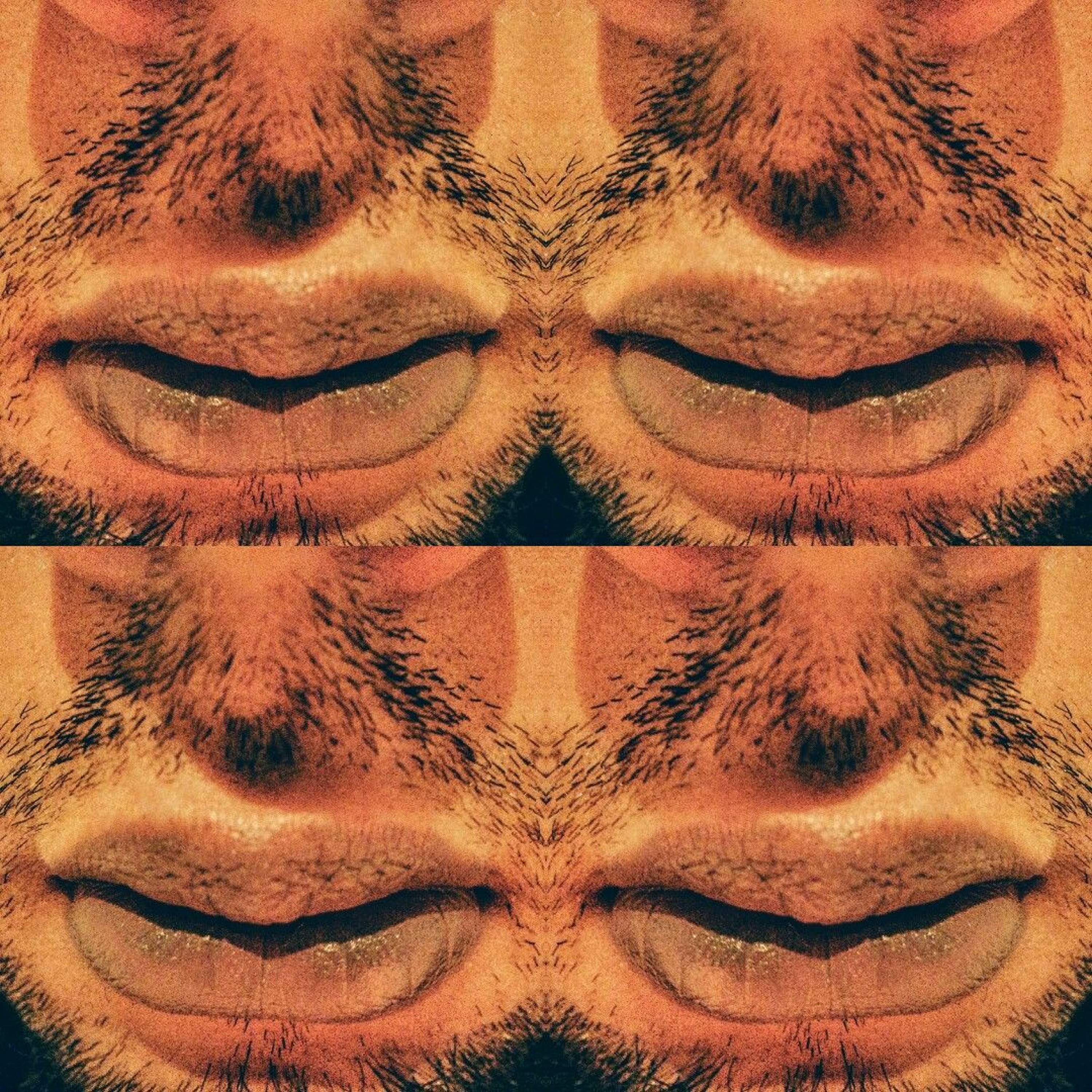 Moodhouse