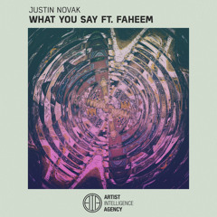 Justin Novak - What You Say ft. Faheem