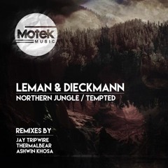Premiere: Leman & Dieckmann - Tempted [Motek]