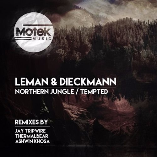 Premiere: Leman & Dieckmann - Tempted [Motek]