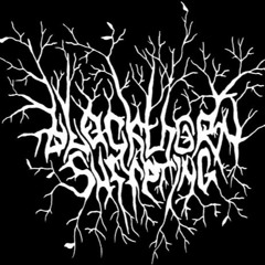 Blackthorn Suffering - Дождь Заберет Мою Печаль...