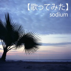 【歌ってみた】by sodium + vocalists