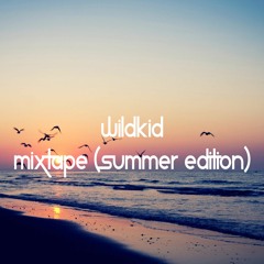 Wildkid - Mixtape (Summer Edition)