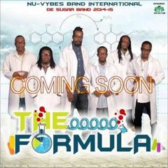 Nu Vybes Band Live Breeze Bar 2013