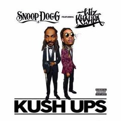 Snoop Dogg Feat. Wiz Khalifa - Kush Ups (TasmanBeatz Remix)