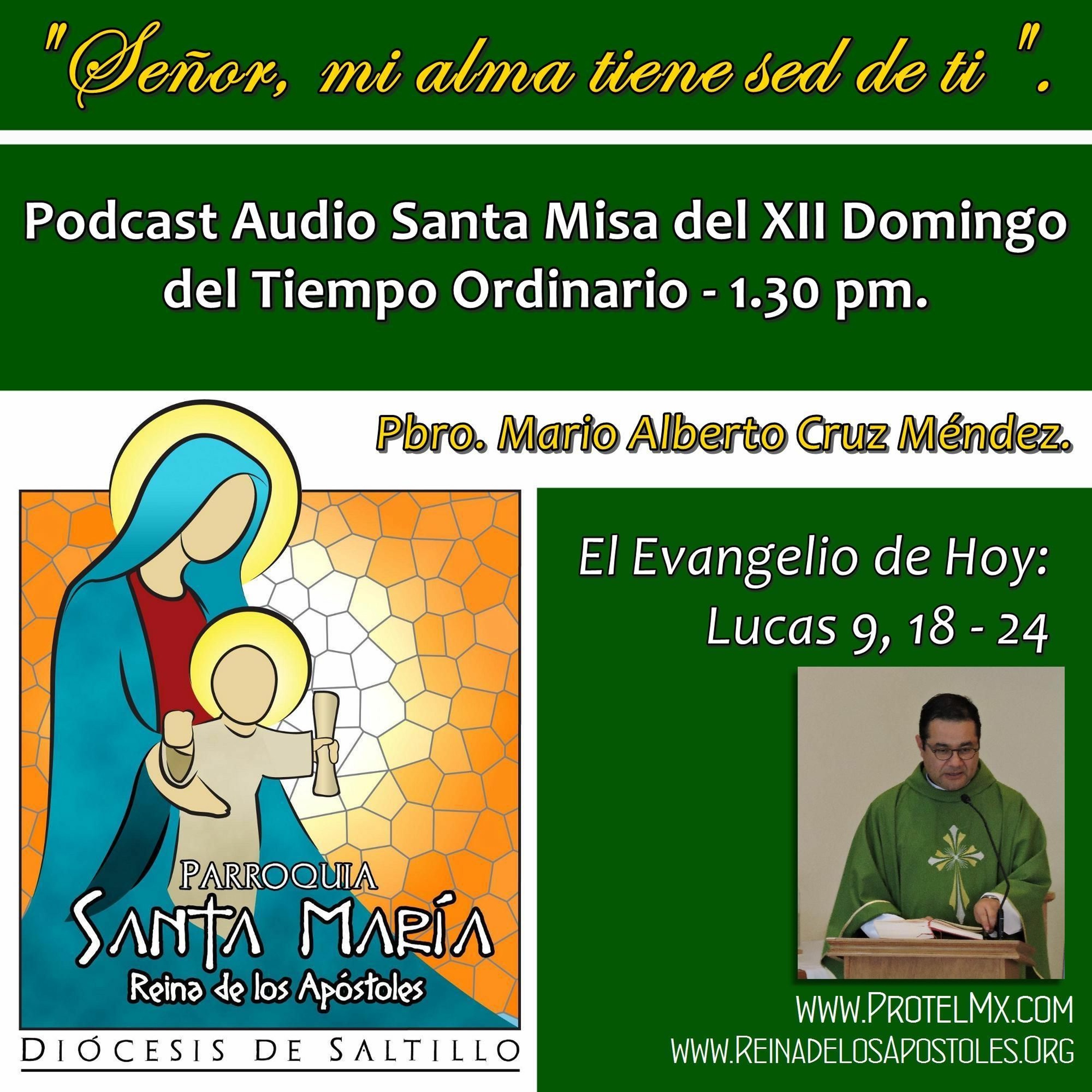 SAMARA_Saltillo #2019