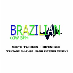Sofi Tukker - Drinkee (Vintage Culture  Slow Motion Remix) FREE DOWNLOAD LINK BUY