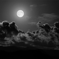 Really Really Freestyle