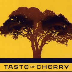 Taste of Cherry | طعم گیلاس
