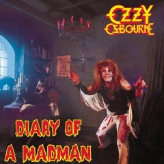 Diary Of A Mad Man / Retracked By Sean Beeson