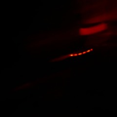 Red Door (dub version) Free DL