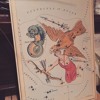 Delphinus, Sagitta, Aquila, And Antinous
