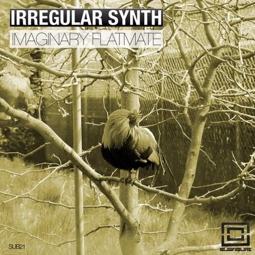 Irregular Synth - Imaginary Flatmate (Original Mix) [Subfigure]