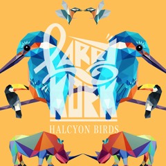 Broken Back - Halcyon Birds (LarryKoek Remix)