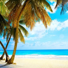 Bring Back The Summer