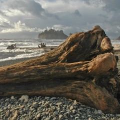 Gordon Hempton - Nature's Largest Violin