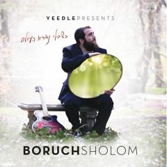 Boruch Sholom - Lo Yemalet (Sheya Remix)