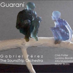 Gabriel Pérez with The SoundTrip Orchestra - Irupé La Flor