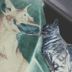 One of Each (Fyrd remix)