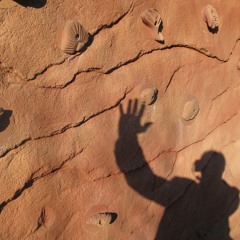 Spring Time Blossom 2016