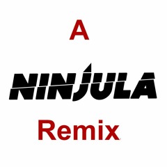 Nine Inch Nails - Perfect Drug(Ninjula 2016 remix)