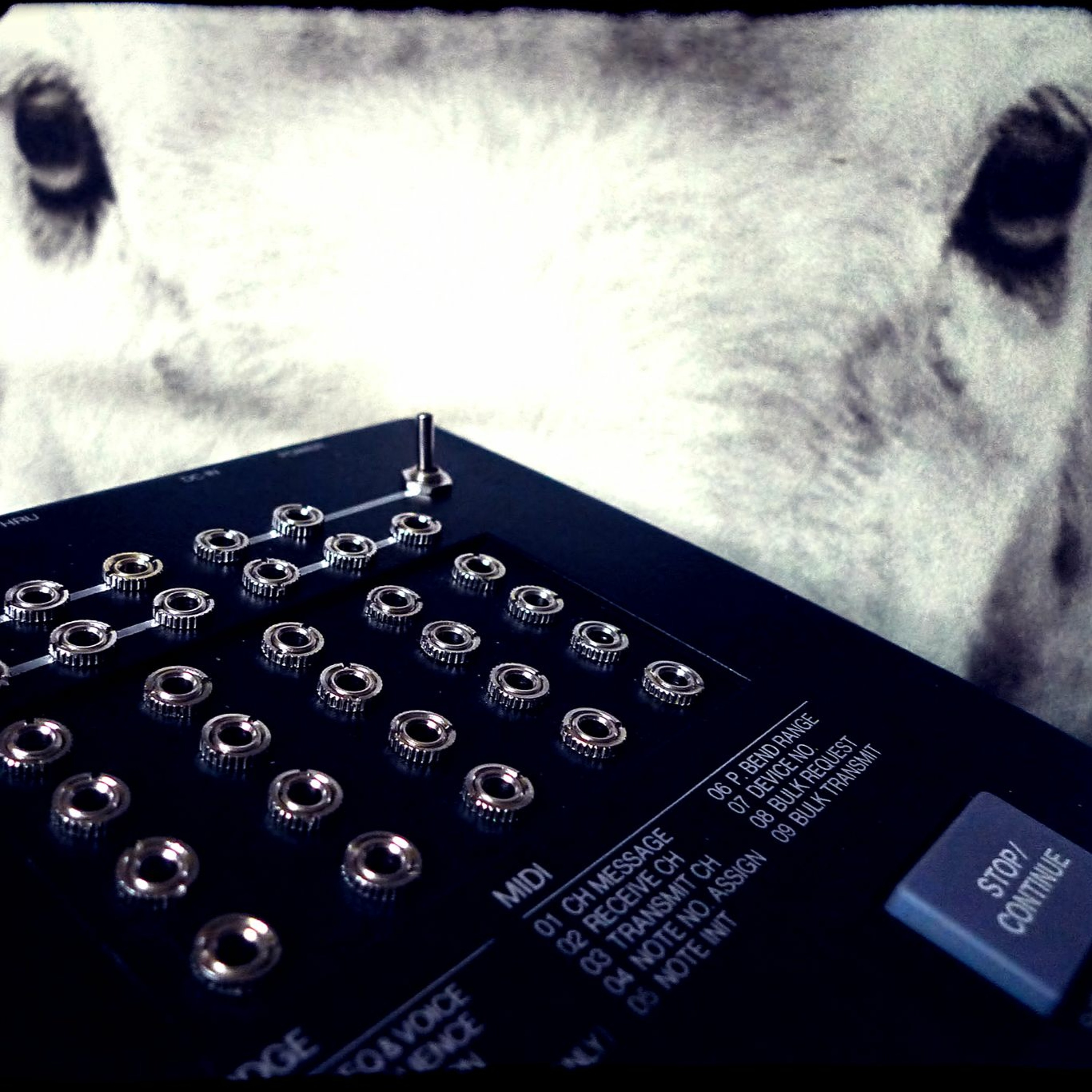 circuitbenders sounds