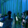 Mysterium novum by Paul Haas: The Beckoning (Live Performance; Excerpt)