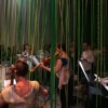 Mysterium novum by Paul Haas: The Garden (Live Performance)