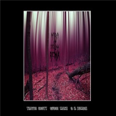 Travis Scott - Maria I'm Drunk feat. Gucci Mane (prod. by G.R. ZOMBIE)