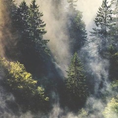 tale of the birds · 3