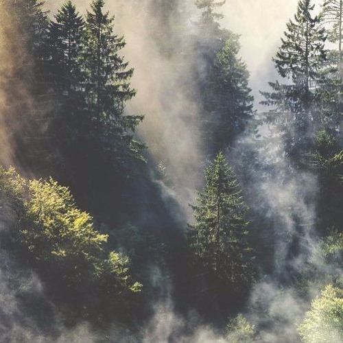 tale of the birds · 3