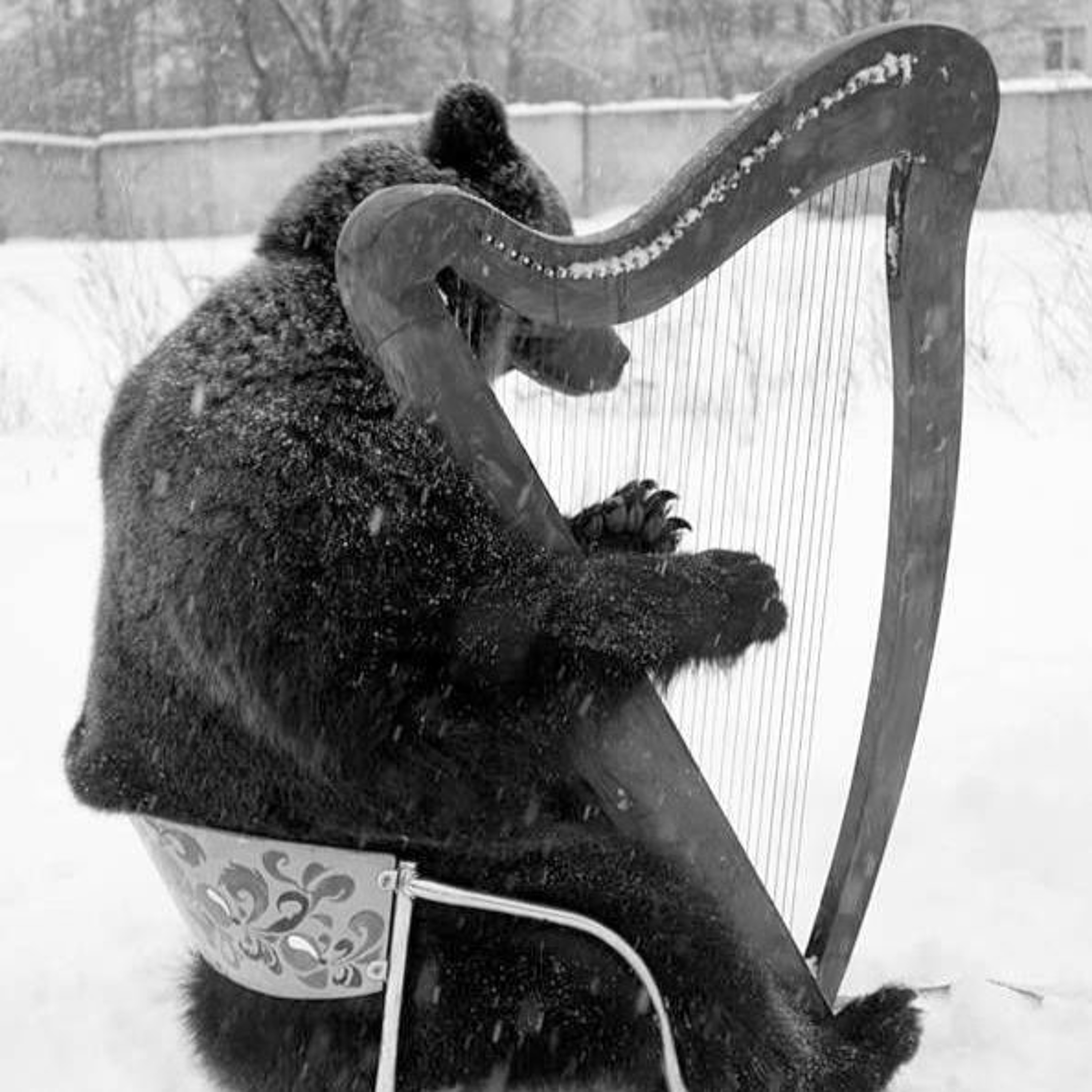 Harp Confessionals 07/11/2016