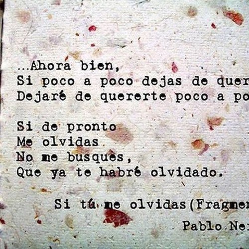 Stream Si tú olvidas Neruda by LuciaOlivares | Listen online for free SoundCloud
