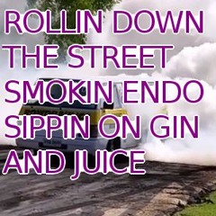 ROLLIN DOWN THE STREET SMOKIN ENDO SIPPIN ON GIN AND JUICE