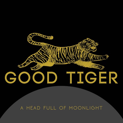 good-tiger-where-are-the-birds