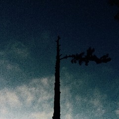 The Spaceman A Cometh