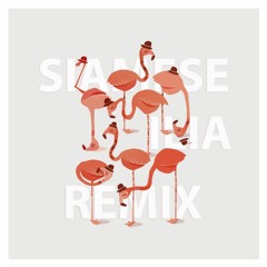 Chris Siegel x Strehlow x Zed Kenzo - Siamese (ilia remix)