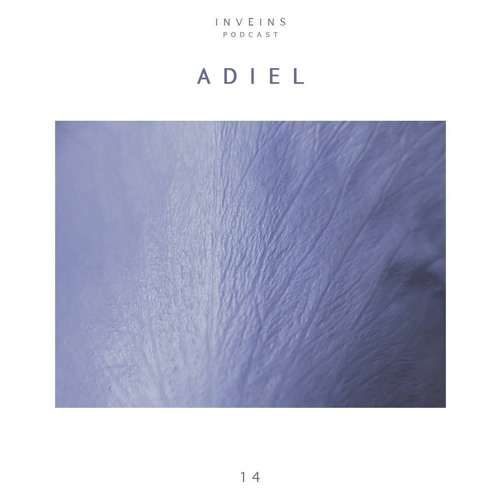 INVEINS \ Podcast 014 \ Adiel \ vinyl set