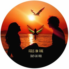 Feels On Fire (Original Mix)