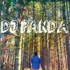 DJ Panda - Memories