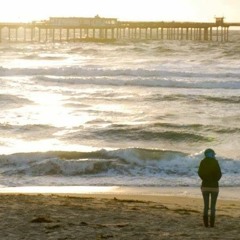 The Wisest People I Know - by: Meredith Harazim