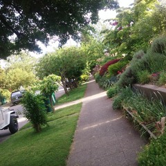 Guns and Roses Demo (Prod. Miso Soup)