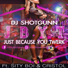 Just Because You Twerk (Clean