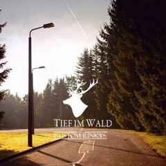 Kleine Feder - Tief im Wald 2016 Suhl