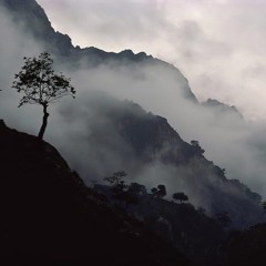 隠されたミスト(Hidden Mist)- EW:Ra Test Piece