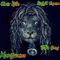 Marijuana - Chris Rillo & BuGgZ Capone