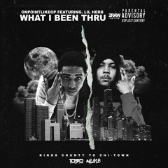 Lil Herb Ft O.P. - What I Been Thru