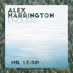 Endless (Mr Leigh Rewerk)